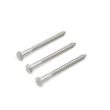 Stainless steel DIN571 hex head lag wood Screw